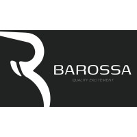 BAROSSA MOTOSİKLET CAMLARI