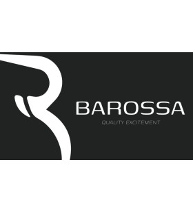 BAROSSA MOTOSİKLET CAMLARI