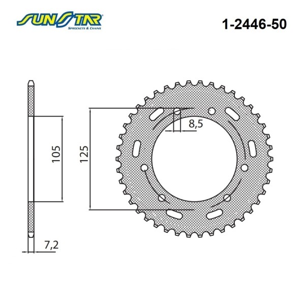 ARKA DİŞLİ ARKA DİŞLİ
