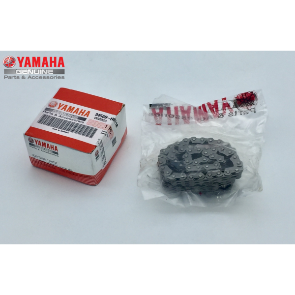 EKSANTRİK ZİNCİRİ