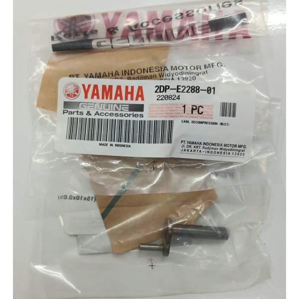 KAM EKSANTRİK MİL PİMİ