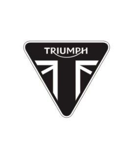 TRIUMPH MOTOSİKLET CAMLARI