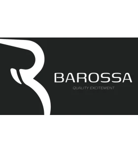 BAROSSA MOTOSİKLET CAMLARI