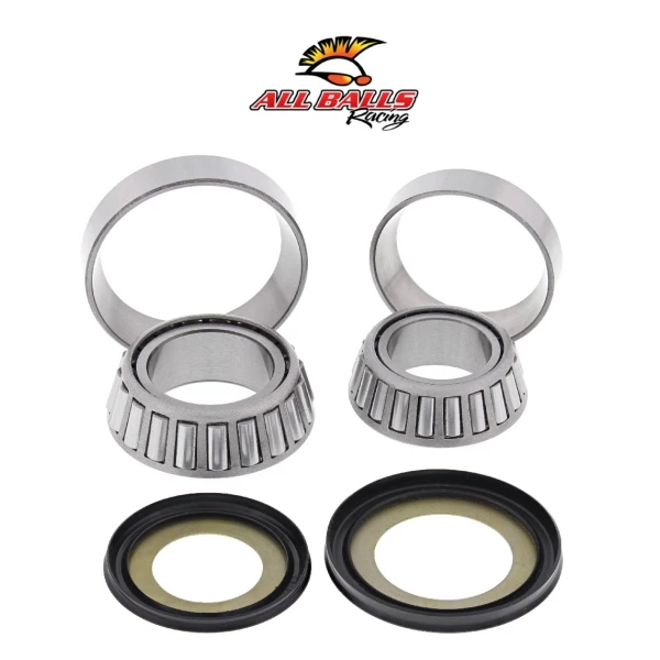 Abr Gi̇don Rulman Takimi