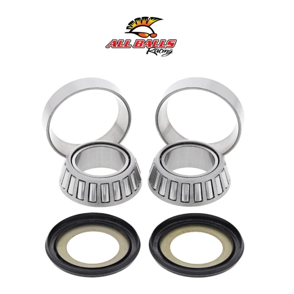 Abr Gi̇don Rulman Takimi