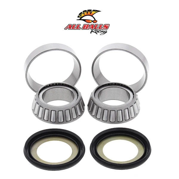 Abr Gi̇don Rulman Takimi