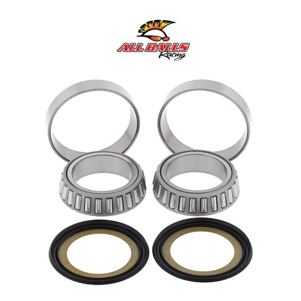 Abr Gi̇don Rulman Takimi