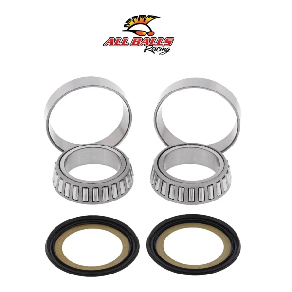 Abr Gi̇don Rulman Takimi