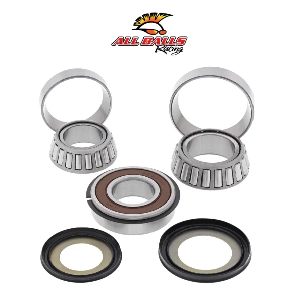 Abr Gi̇don Rulman Takimi