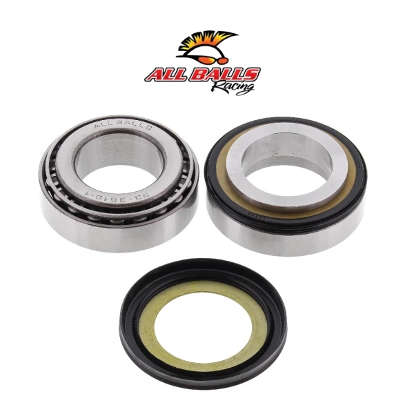 Abr Gi̇don Rulman Takimi