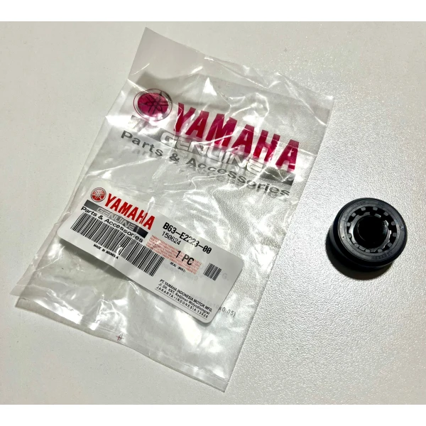 Devi̇rdai̇m Keçesi̇